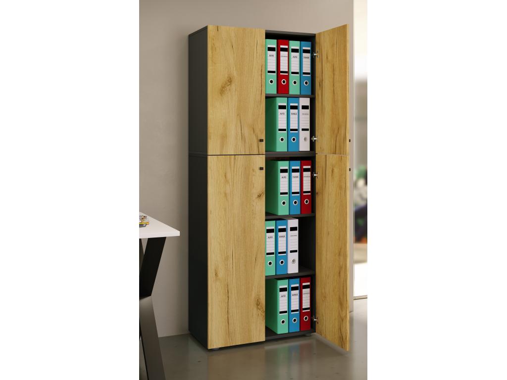 Decohaute Office Cabinet for Books and Filing Cabinets, Office Furniture, Decohaute Cabinet with 5 Hinged Doors, Anthracite/Honey Oak ZHRS39030