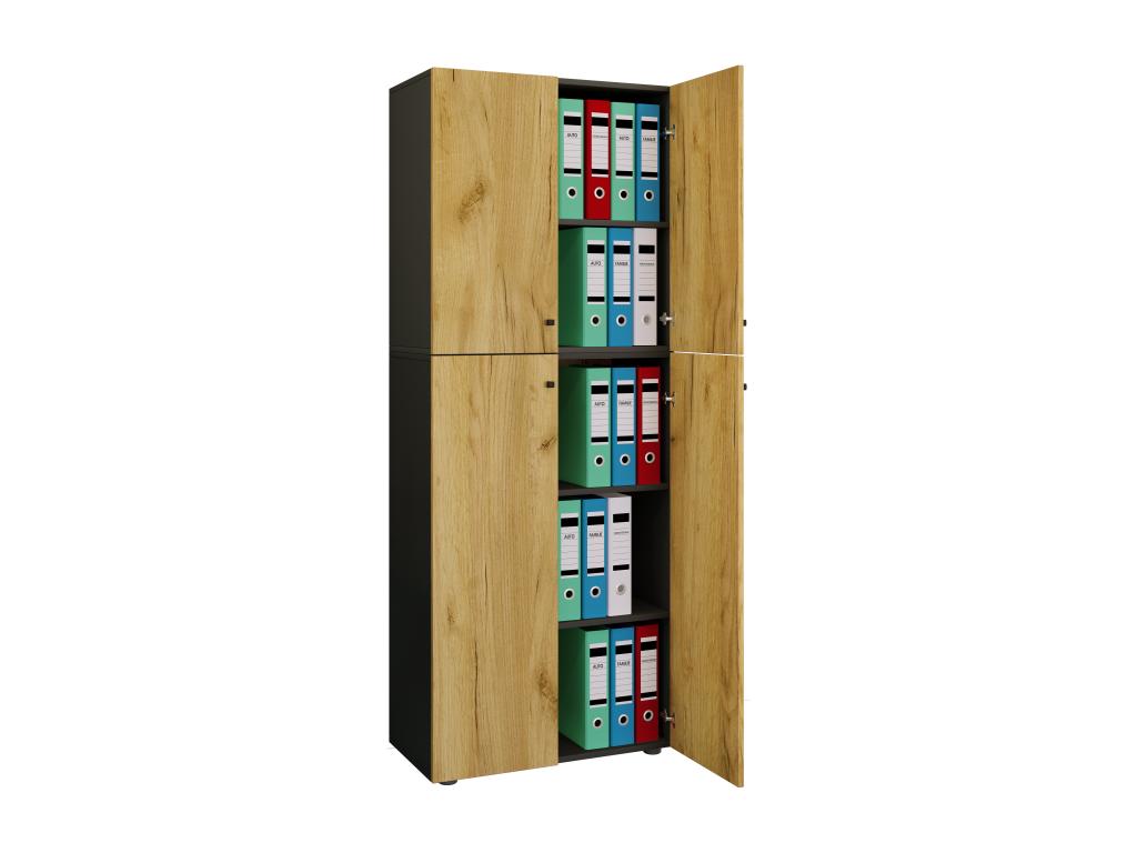 Decohaute Office Cabinet for Books and Filing Cabinets, Office Furniture, Decohaute Cabinet with 5 Hinged Doors, Anthracite/Honey Oak ZHRS39030