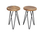 Chicyla-A80 Flower Display Stand, Set of 2, COSO01435