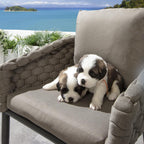 Sundowner Outdoor Garden Dining Chair Coffee